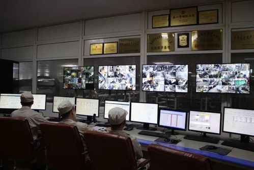 專注乳品九十載，衛崗乳業以優質裝卸服務踐行健康中國夢